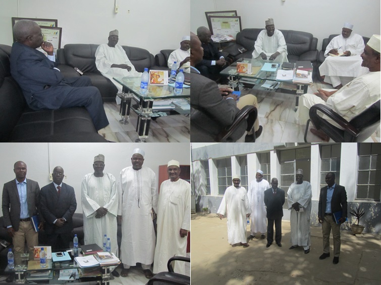 Appels à candidature